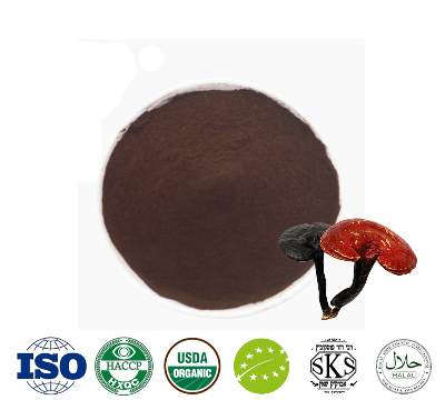 Reishi Mushroom Powder Extract