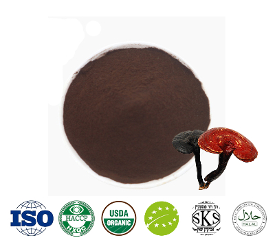 Reishi Mushroom Powder Extract