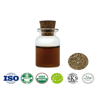 Carrot Seed Oil