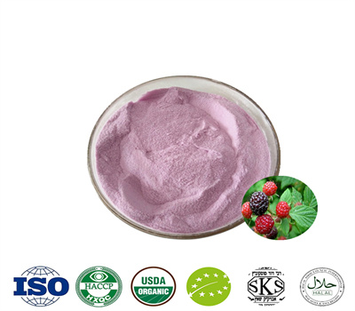 Raspberry Ketone Powder