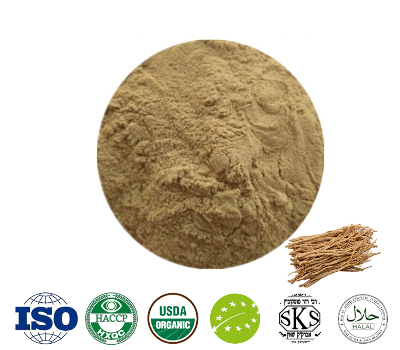  Codonopsis Extract Polysaccharides 